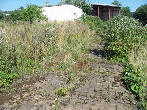 Foto 41